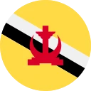 Brunei doları